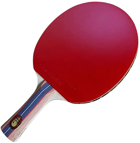 <strong>6: Custom Gambler Professional Ping Pong Paddle</strong> - Best Professional Table Tennis Bat 