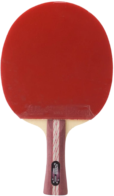 3: DHS A4002 Ping Pong Paddle-Best paddle in terms of speed