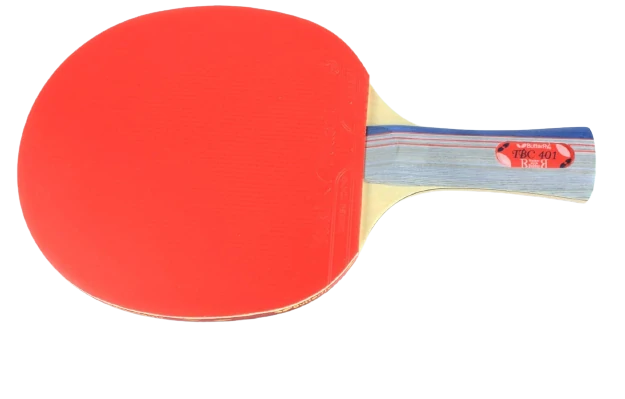 Butterfly 401 Ping Pong Paddle Set