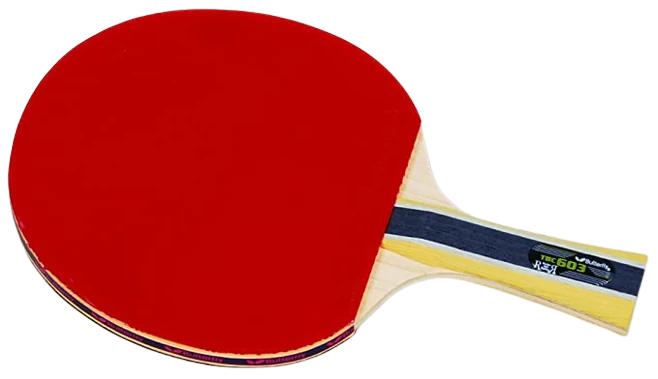 Butterfly 603 Ping pong Paddle Set