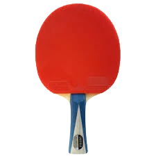 Eastfield Allround Ping Pong Paddle