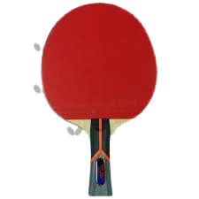 Butterfly 40 Ping Pong Paddle