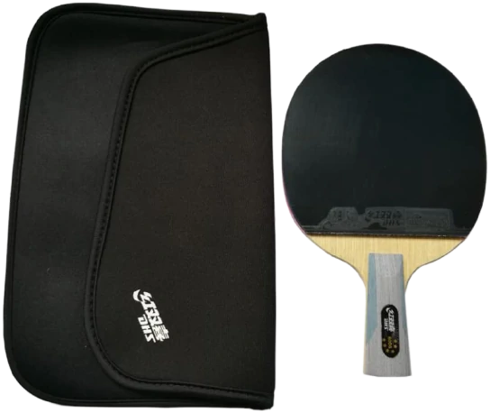 7:DHS 6006 Ping Pong Paddle-Best elegant paddle