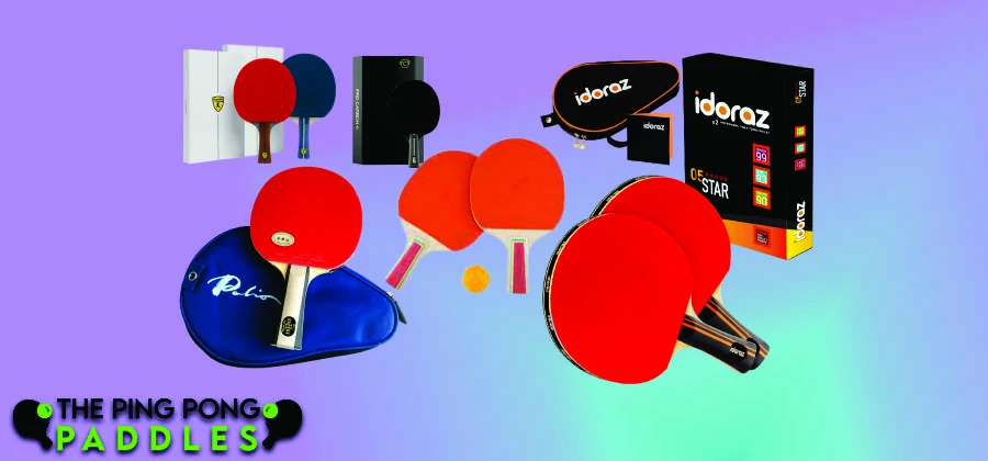Best Ping Pong Paddles Under $100