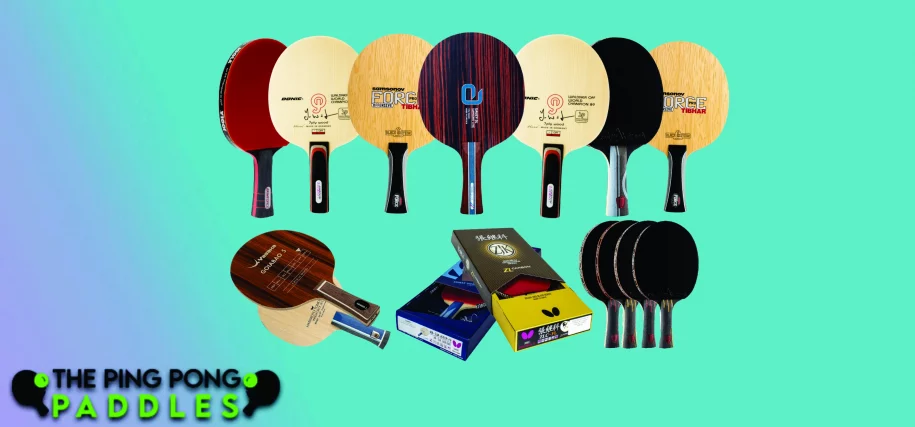 Best Professional Ping Pong Paddles