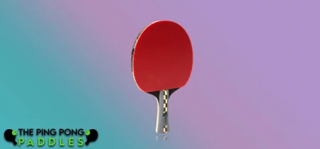 1.9 mm Rubber Sponge Joola Carbon Pro Ping Pong Paddle