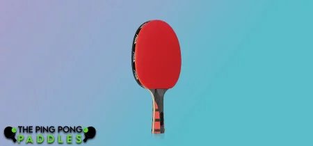 Excellent Ball Control STIGA Evolution Pre-Assembled Ping Pong Paddle