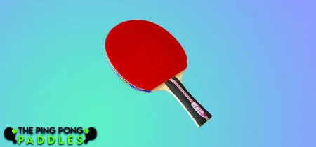 Butterfly B302FL Shakehand Ping Pong Paddle