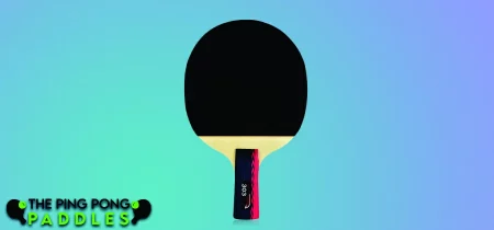 Butterfly B303CS Chinese Penhold Ping Pong Paddle